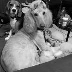 queen and ellallynn black and white.png