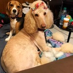 queen and ellallynn.png