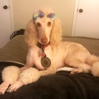 queen posing on bed.png